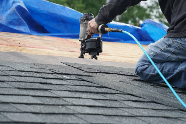 Best Storm Damage Roof Repair  in Utica, NY