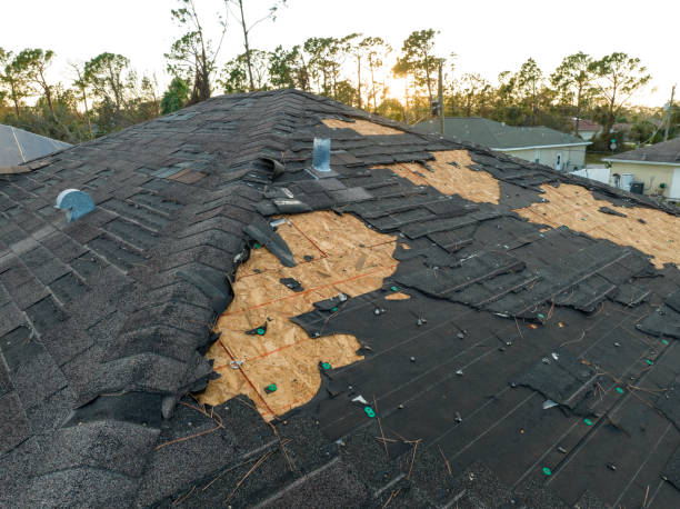 Best Roof Insulation Installation  in Utica, NY